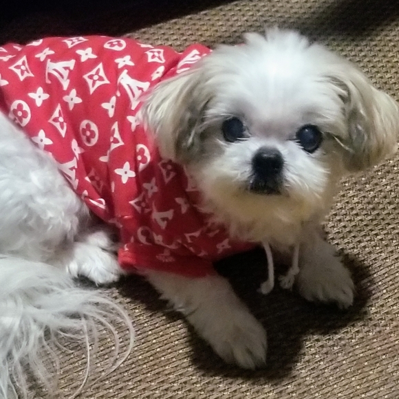 Jamie 🖤 POSH AMBASSADOR - Picture 9 of 9